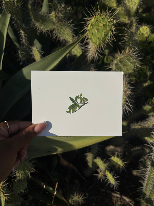 Postcard: Kenepa